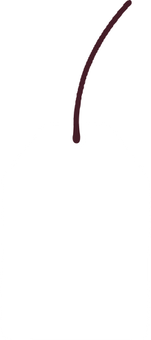 Price Tag Illustration